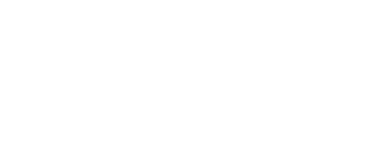 IEIF Executive Training